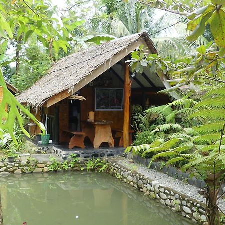 Magpie Homestay & Jungle Trekking Especially For Guest Trekking With Us Bukit Lawang Exteriör bild
