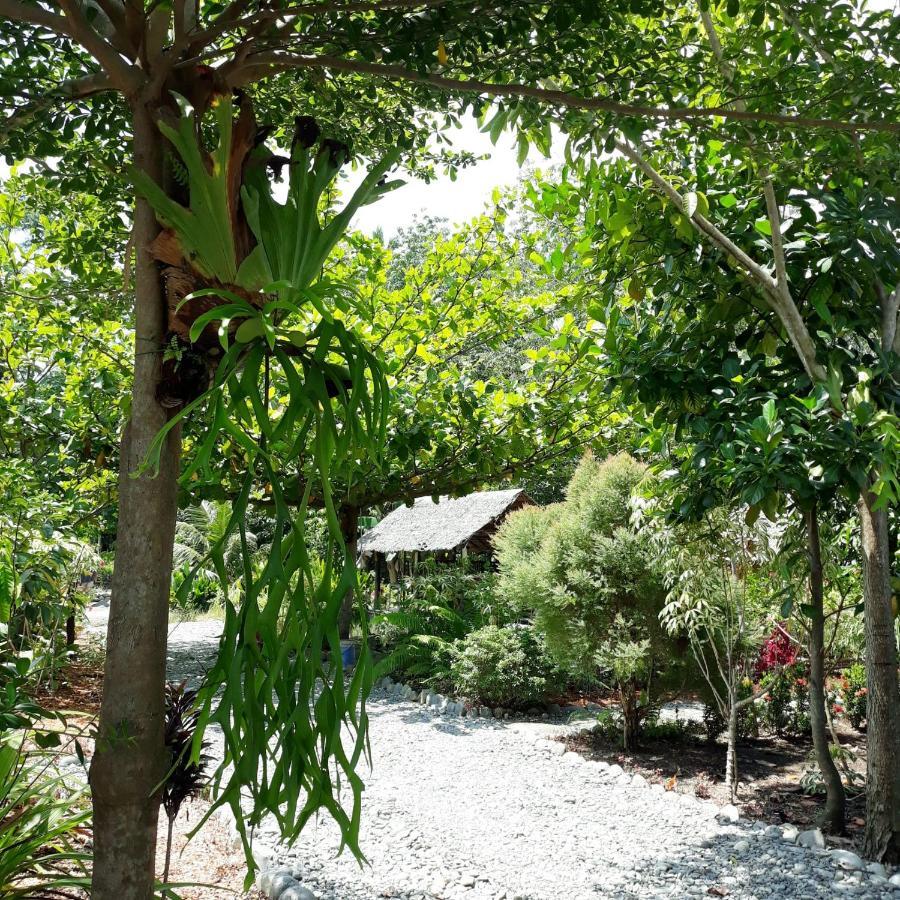 Magpie Homestay & Jungle Trekking Especially For Guest Trekking With Us Bukit Lawang Exteriör bild