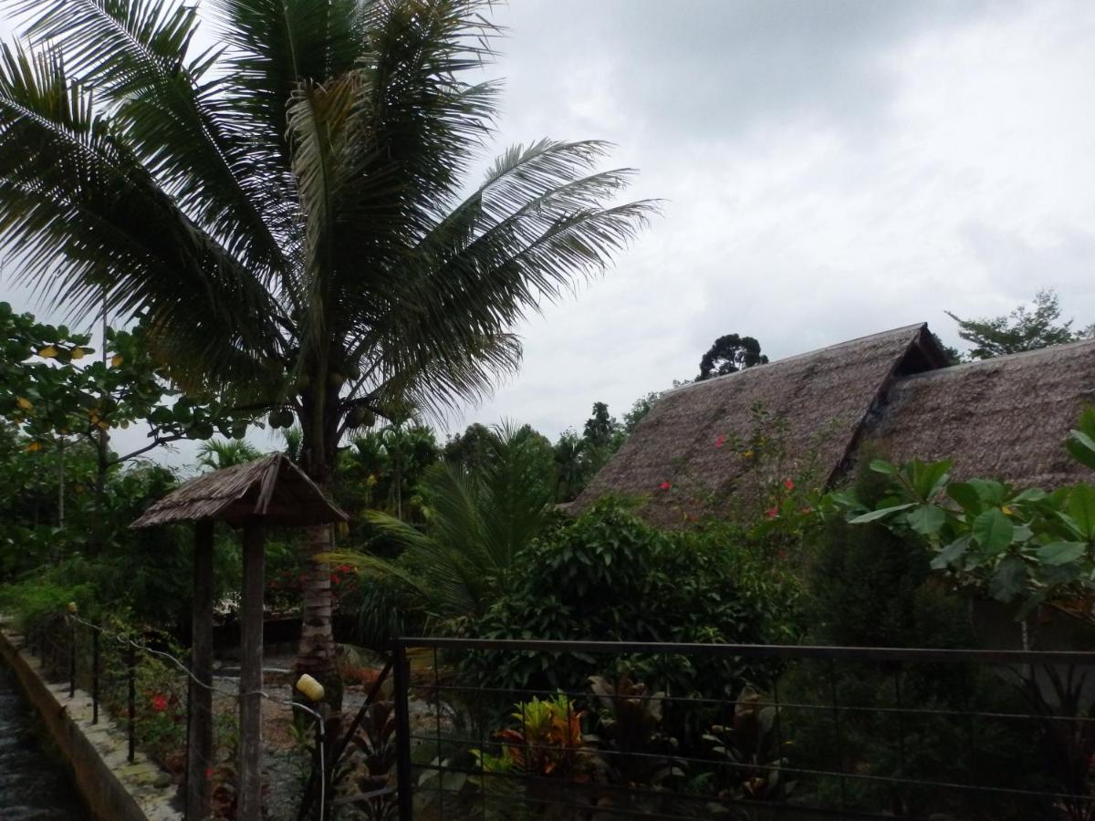 Magpie Homestay & Jungle Trekking Especially For Guest Trekking With Us Bukit Lawang Exteriör bild