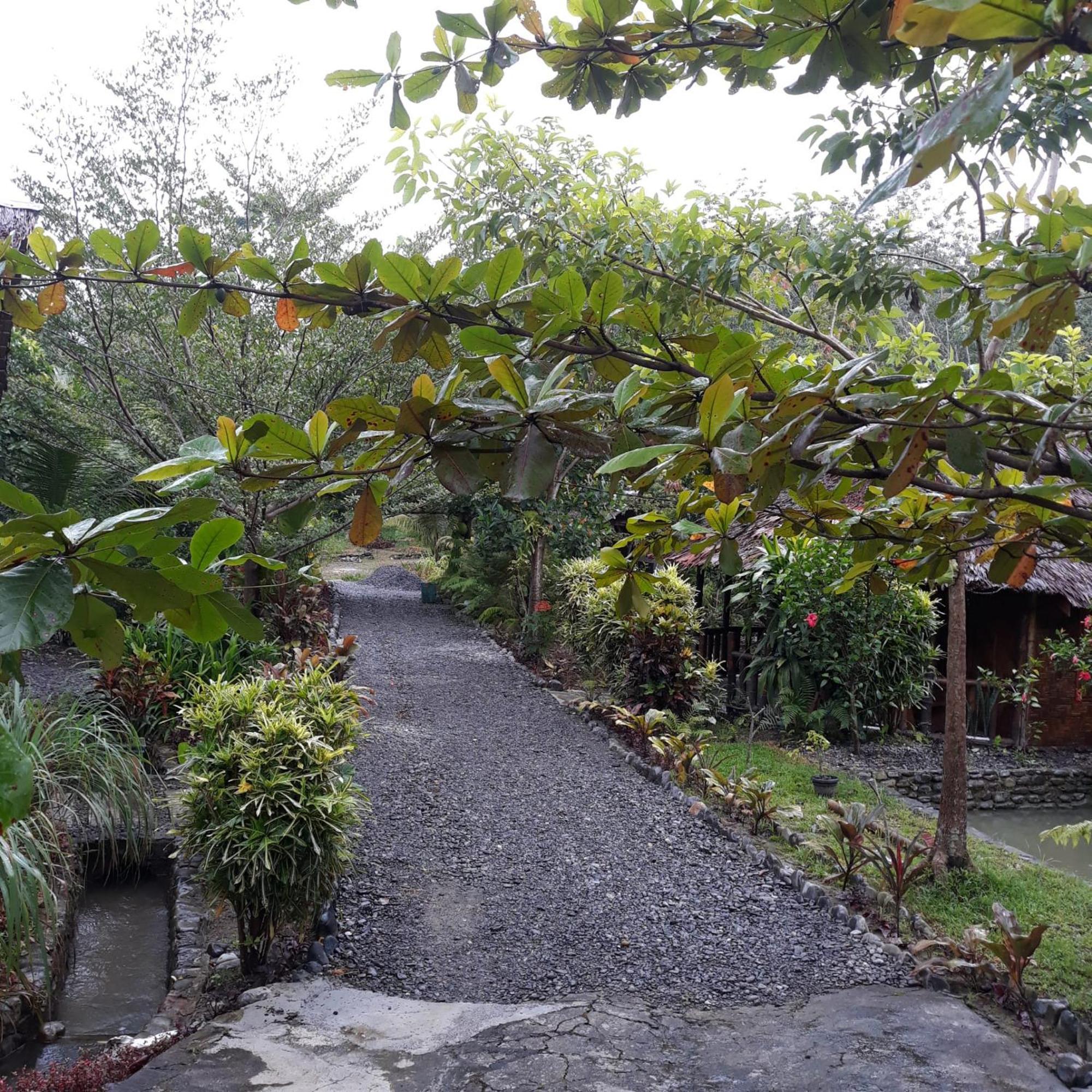 Magpie Homestay & Jungle Trekking Especially For Guest Trekking With Us Bukit Lawang Rum bild