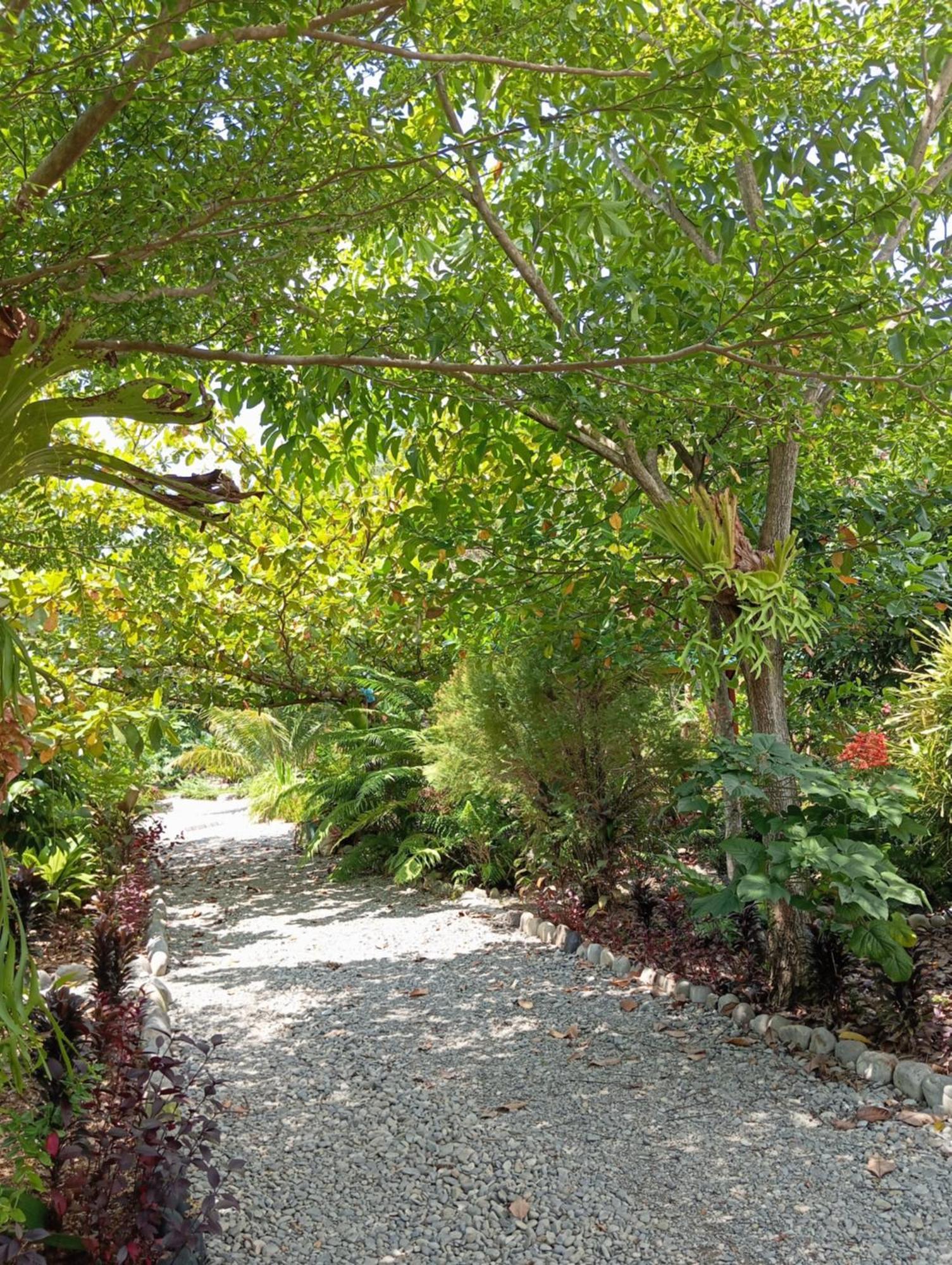 Magpie Homestay & Jungle Trekking Especially For Guest Trekking With Us Bukit Lawang Exteriör bild