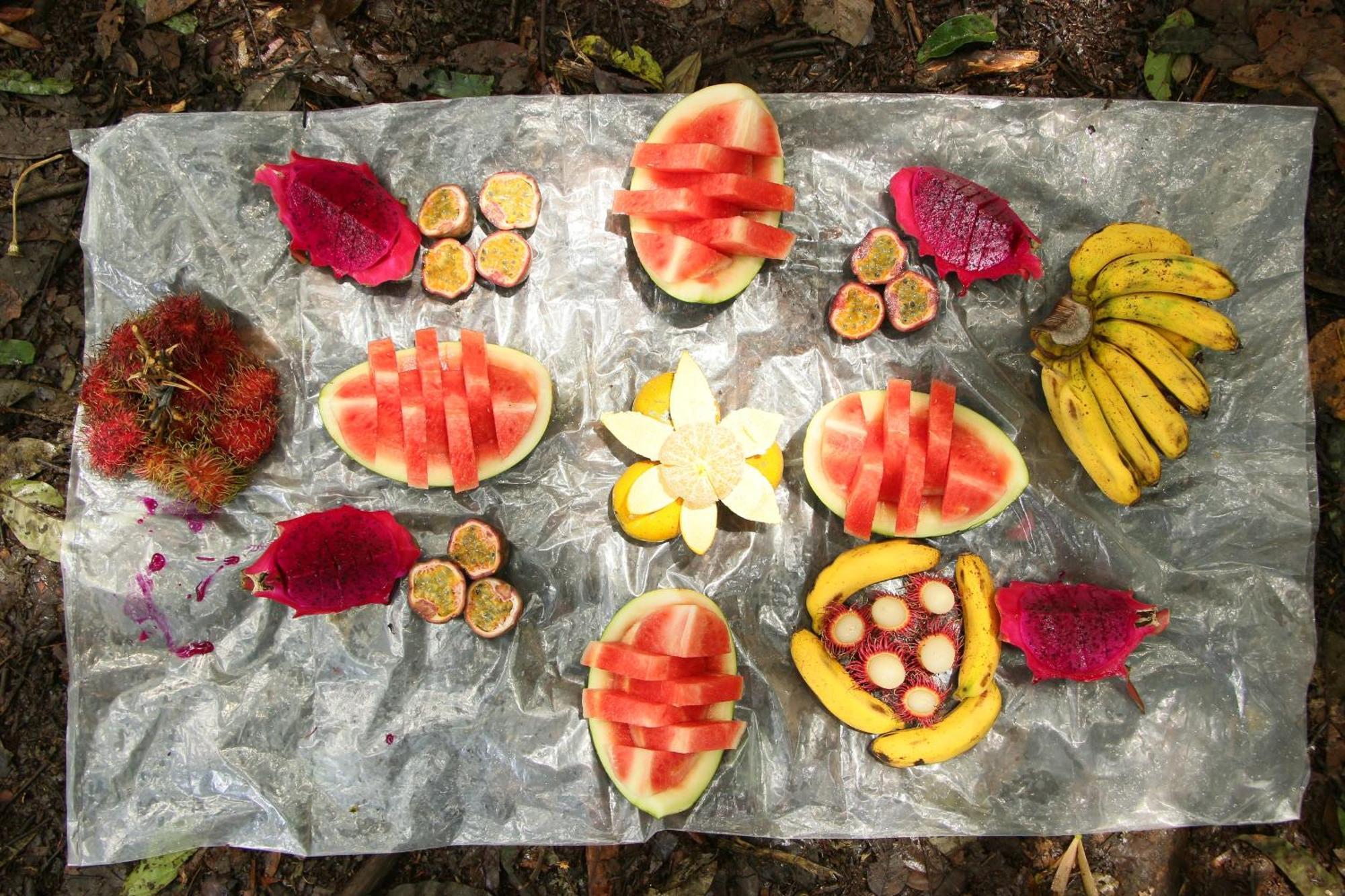 Magpie Homestay & Jungle Trekking Especially For Guest Trekking With Us Bukit Lawang Exteriör bild