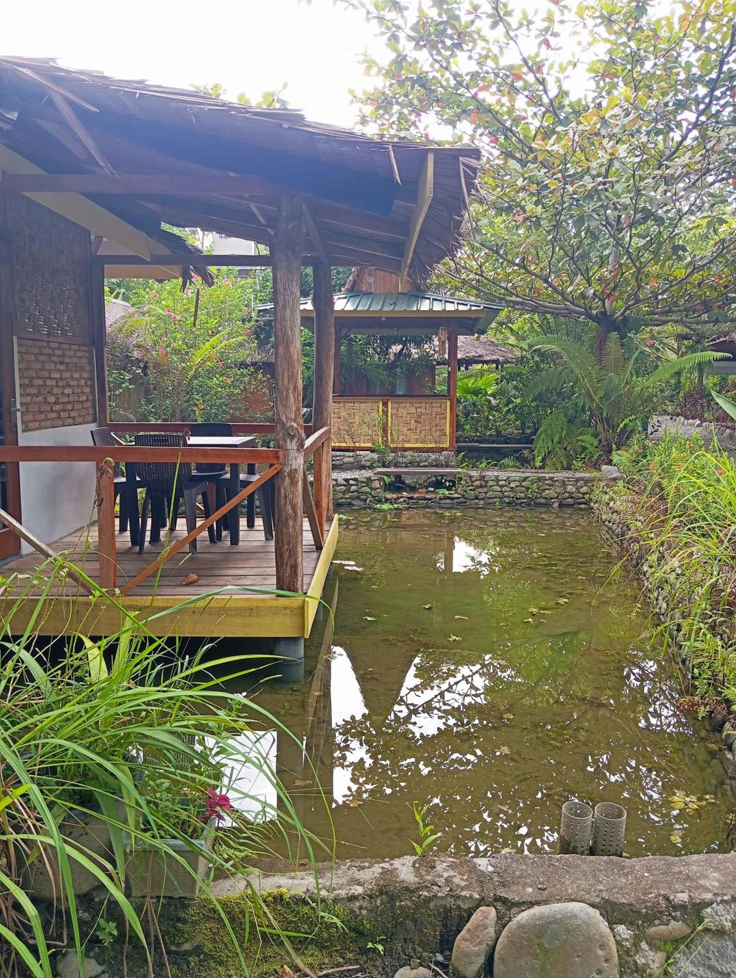 Magpie Homestay & Jungle Trekking Especially For Guest Trekking With Us Bukit Lawang Rum bild