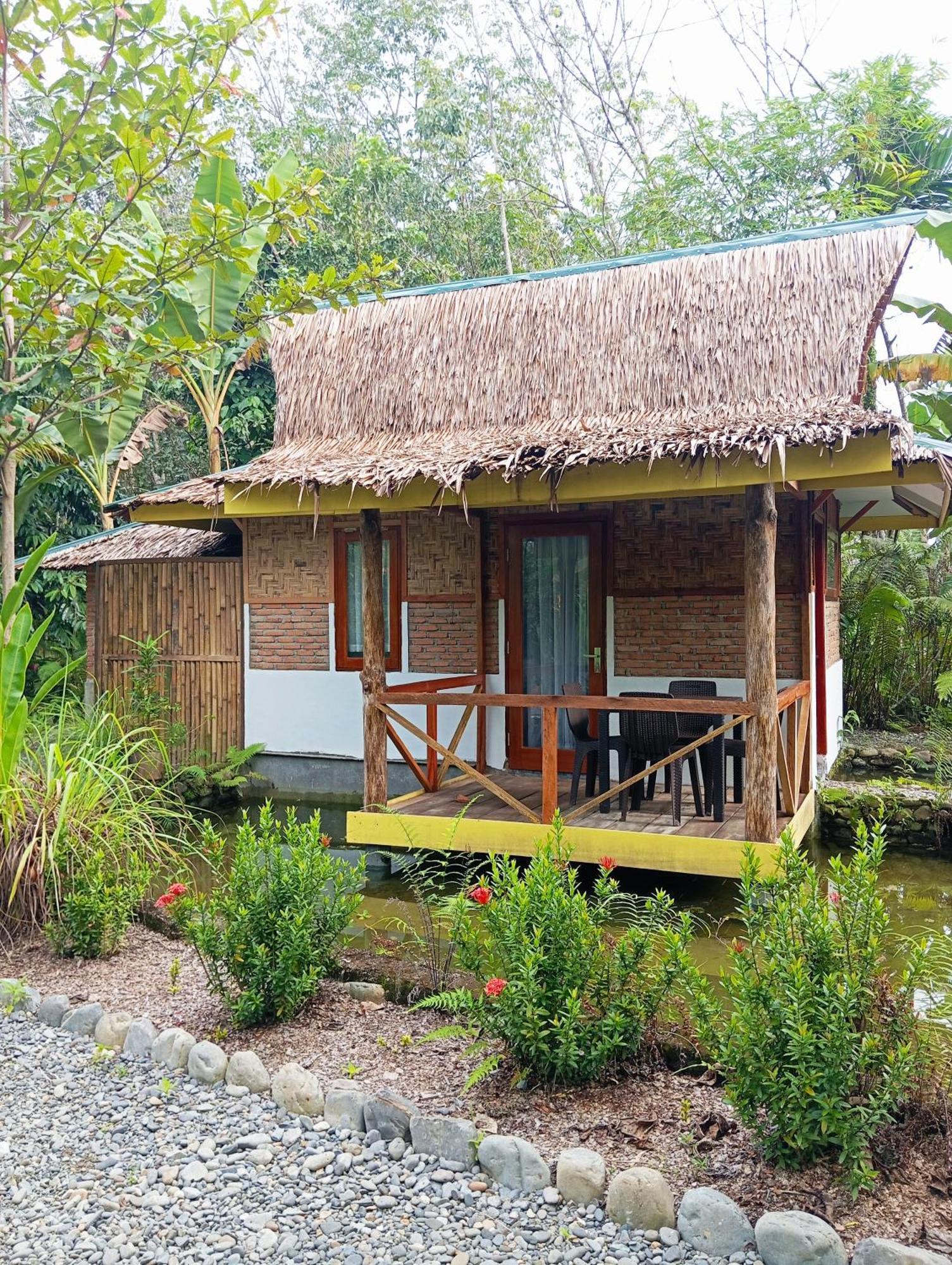 Magpie Homestay & Jungle Trekking Especially For Guest Trekking With Us Bukit Lawang Exteriör bild