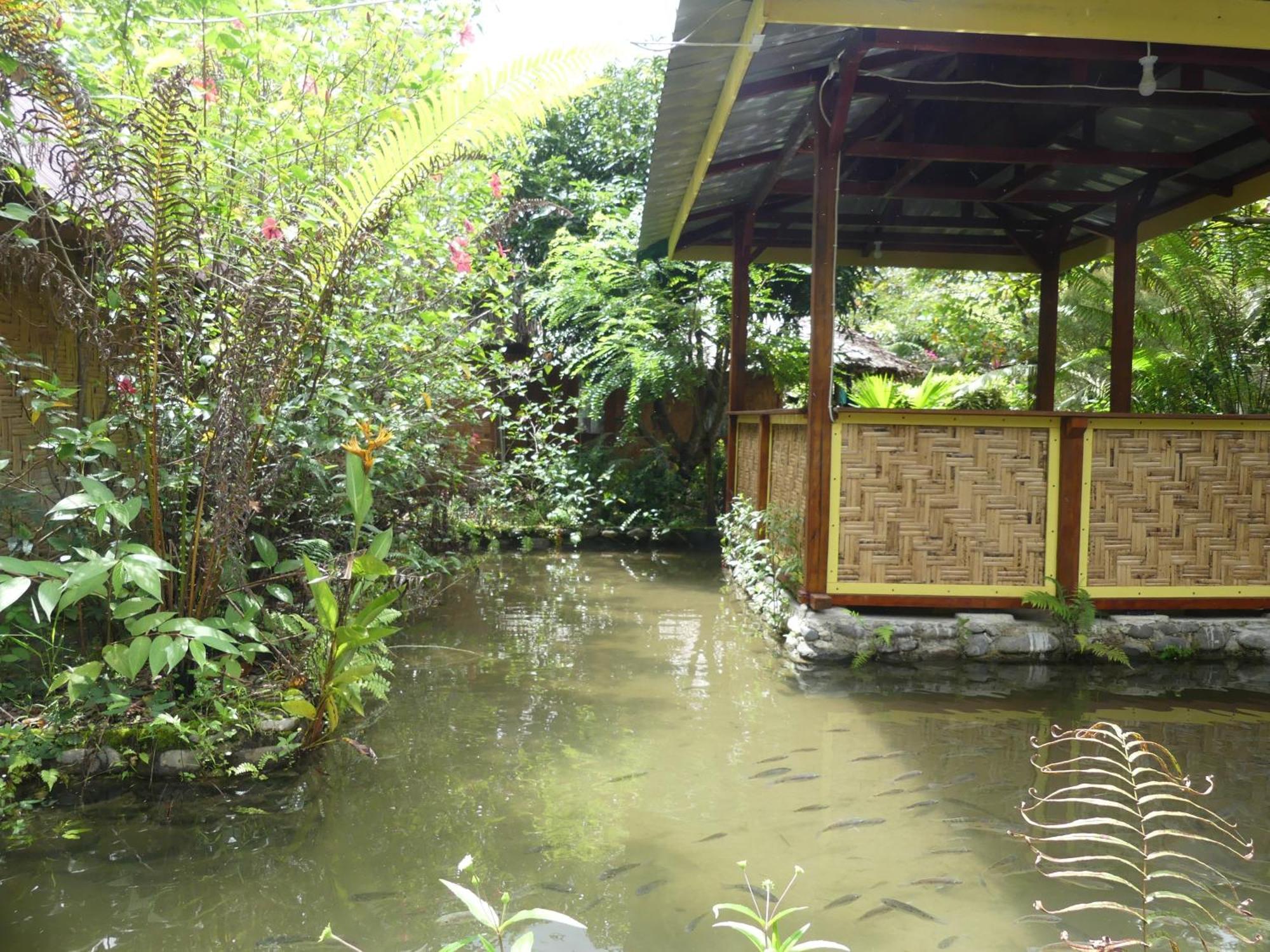 Magpie Homestay & Jungle Trekking Especially For Guest Trekking With Us Bukit Lawang Rum bild