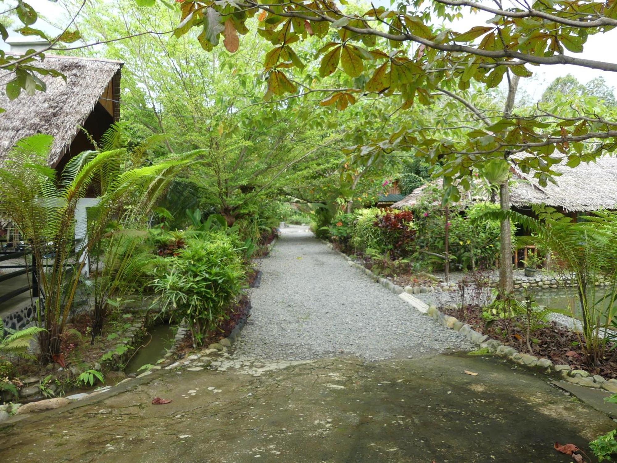 Magpie Homestay & Jungle Trekking Especially For Guest Trekking With Us Bukit Lawang Exteriör bild