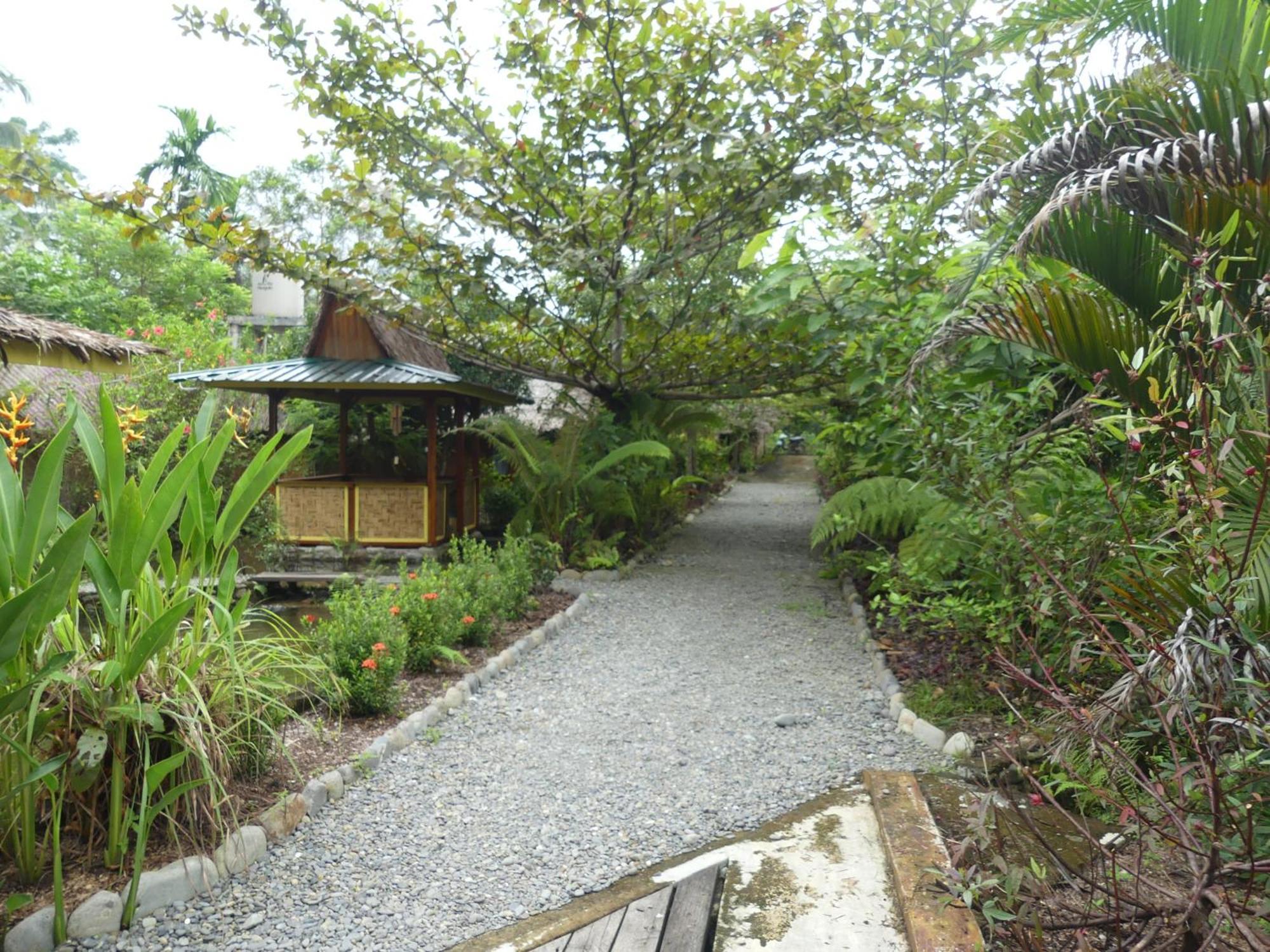 Magpie Homestay & Jungle Trekking Especially For Guest Trekking With Us Bukit Lawang Rum bild
