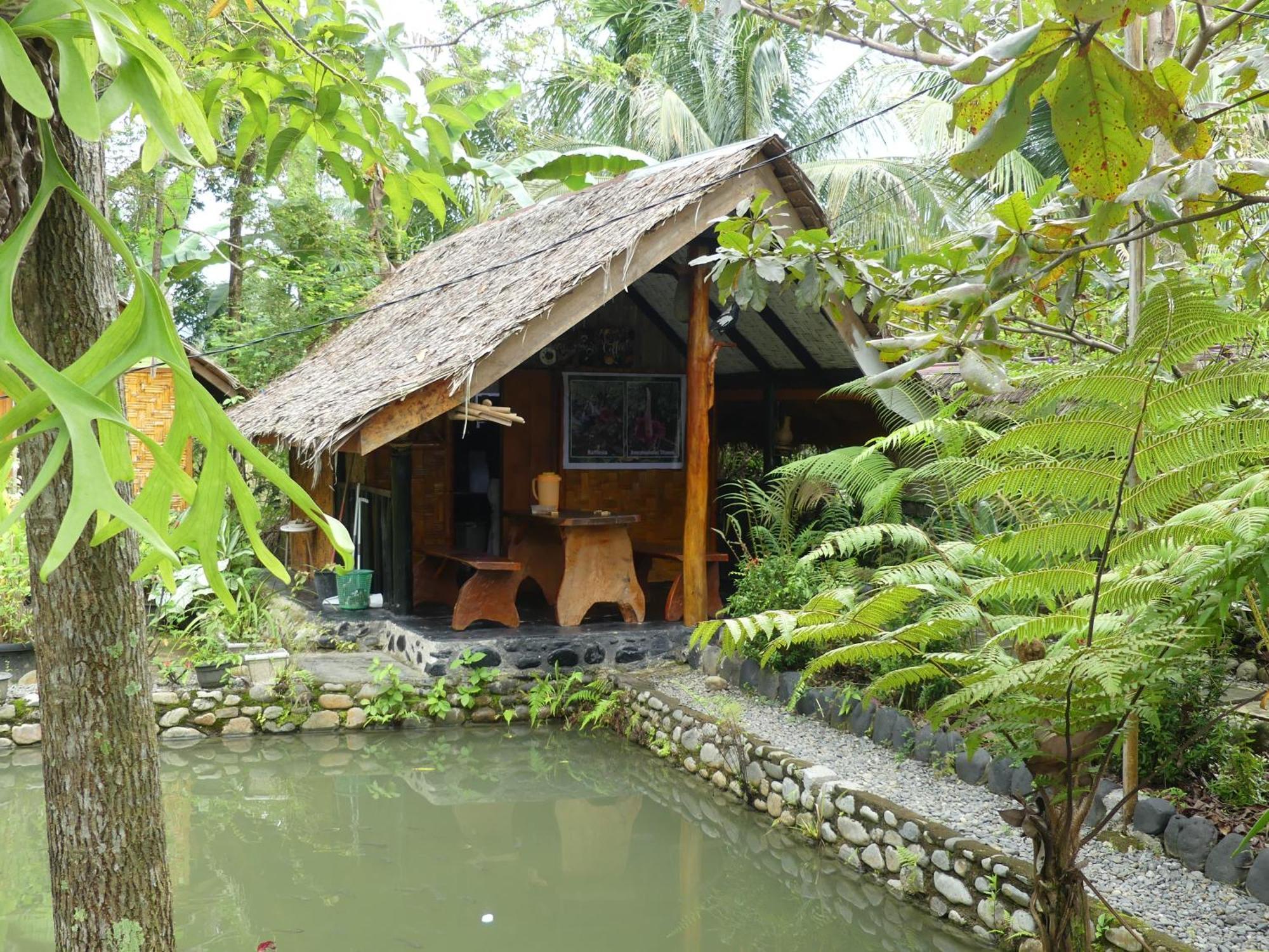 Magpie Homestay & Jungle Trekking Especially For Guest Trekking With Us Bukit Lawang Exteriör bild